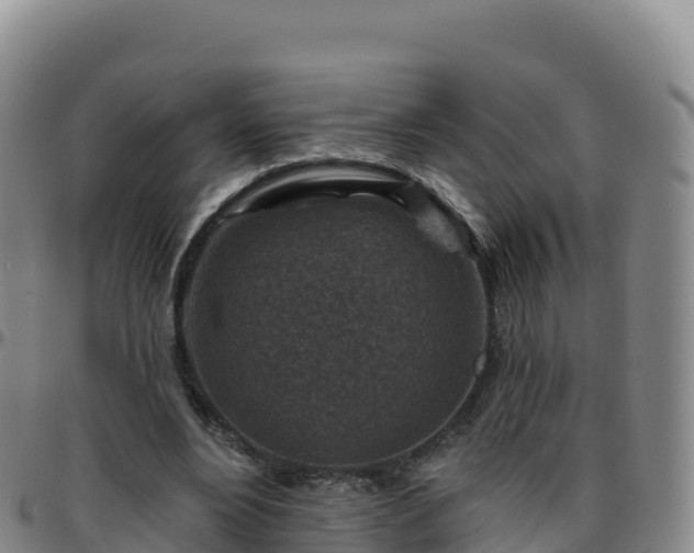 X0000096470488200801311537