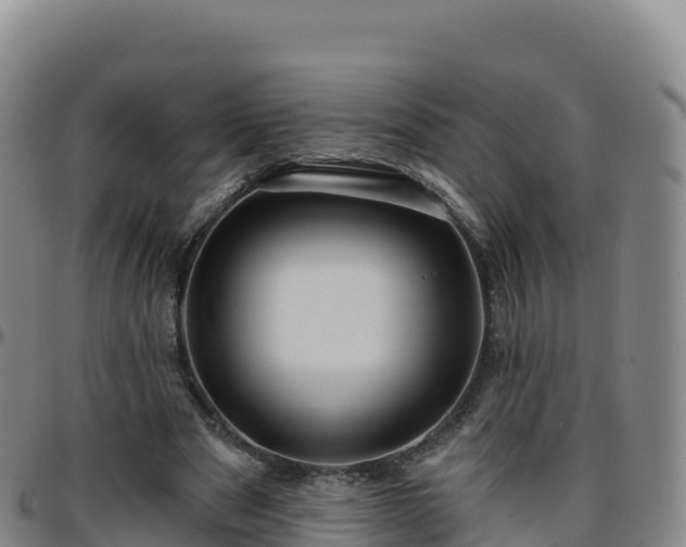 X0000096470489200801311537