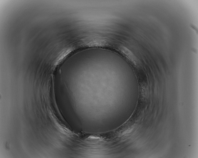 X0000096470491200801311537