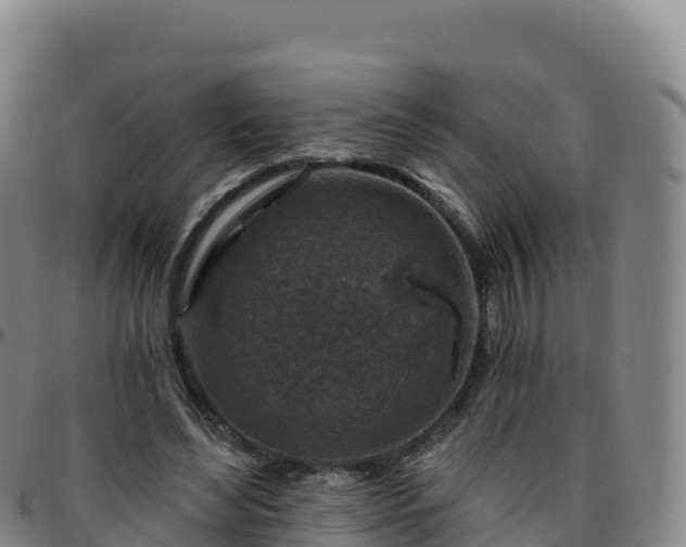 X0000096470492200801311537