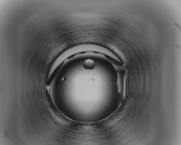 X0000096470493200801311537