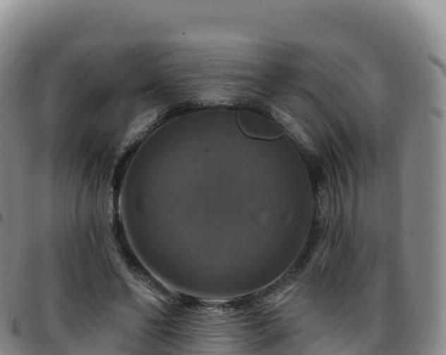 X0000096470494200801311537