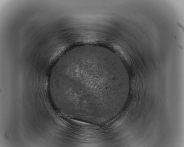 X0000096470495200801311537