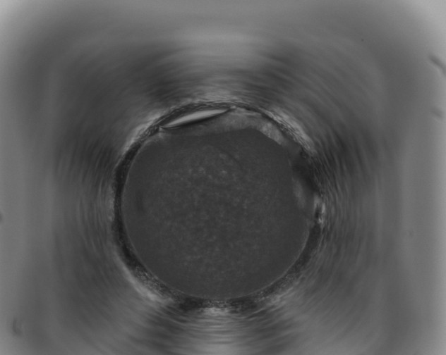 X0000096470496200801311537