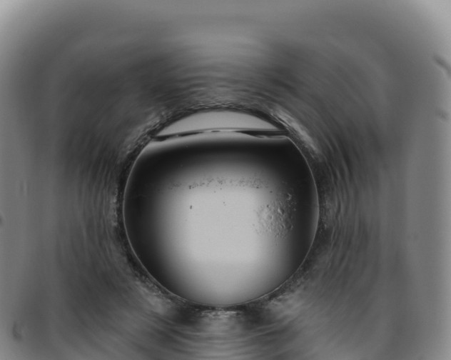 X0000096470497200801311537