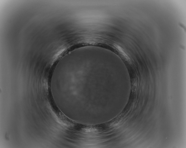 X0000096470500200801311537