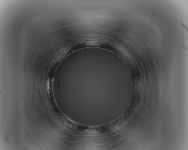 X0000096470502200801311537