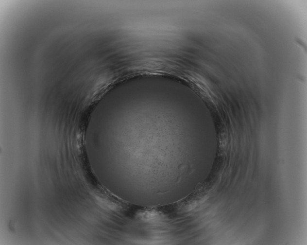 X0000096470503200801311537