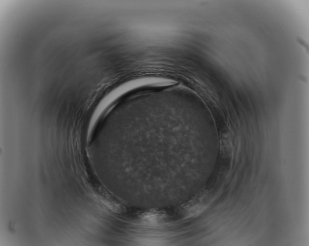 X0000096470504200801311537