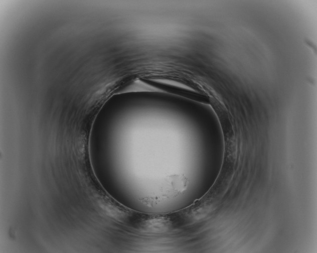 X0000096470505200801311537