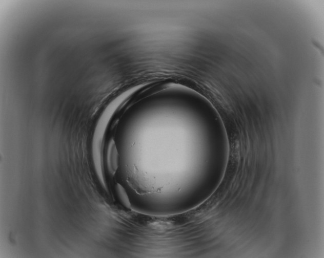 X0000096470508200801311537
