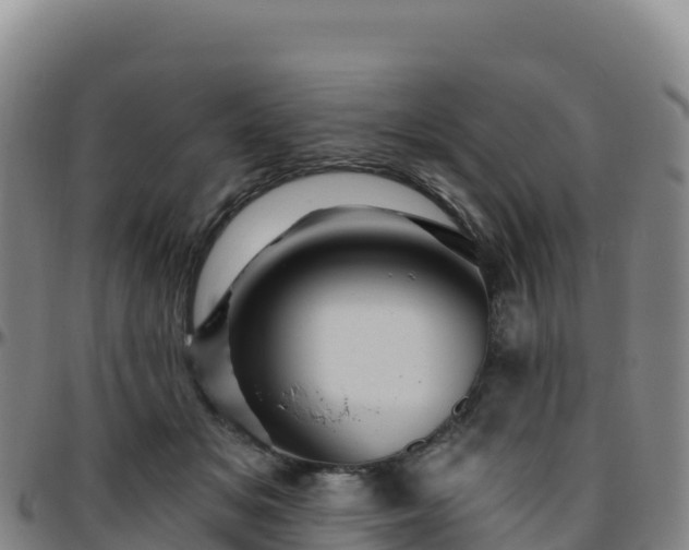 X0000096470509200801311537
