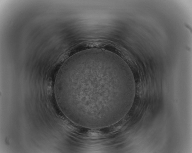 X0000096470510200801311537