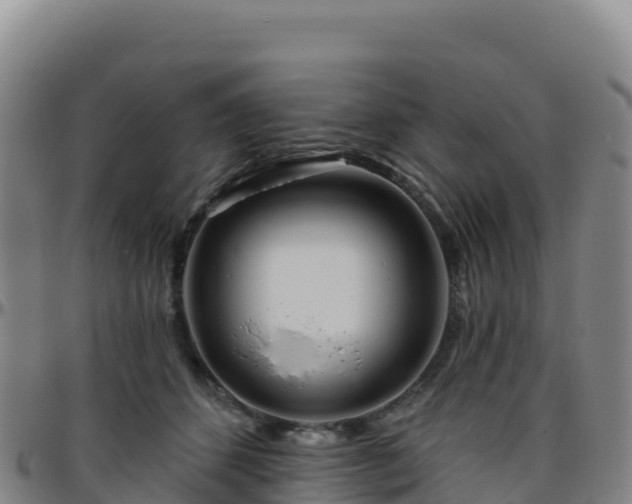 X0000096470512200801311537