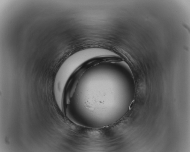 X0000096470513200801311537