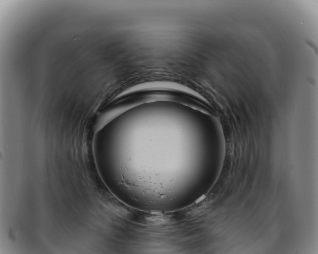X0000096470516200801311537