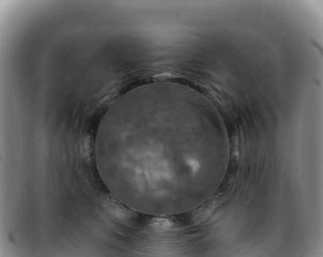 X0000096470519200801311537