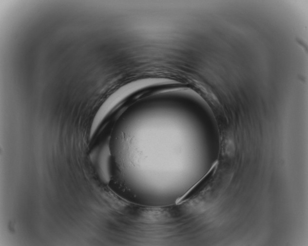 X0000096470521200801311537