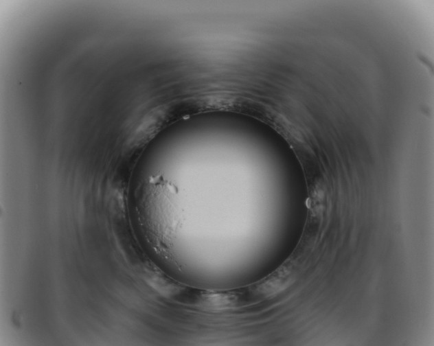 X0000096470522200801311537