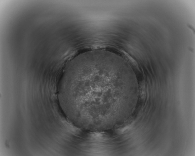 X0000096470523200801311537