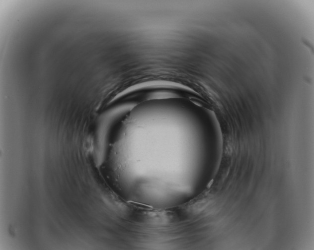 X0000096470524200801311537
