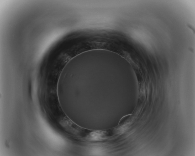X0000096470526200801311537
