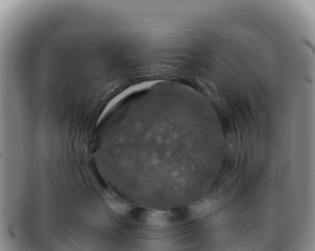 X0000096470527200801311537