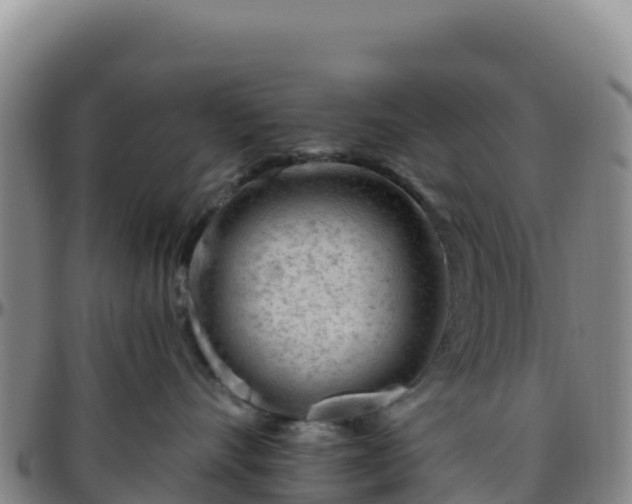 X0000096470528200801311537