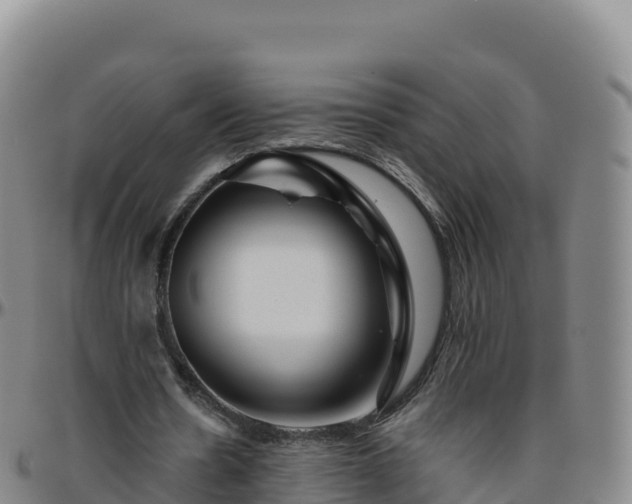 X0000096470530200801311536