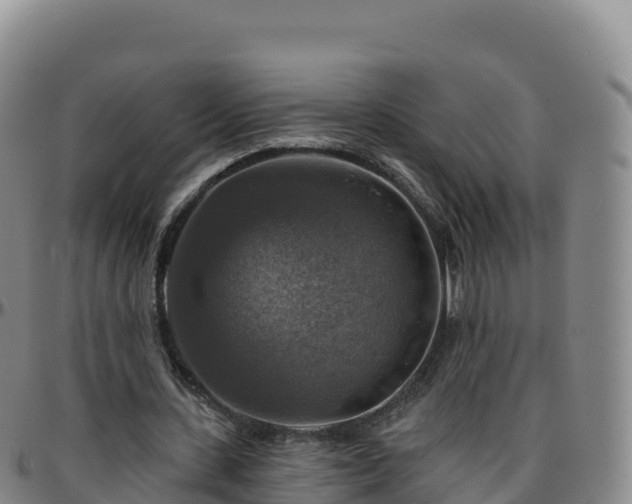 X0000096470531200801311536