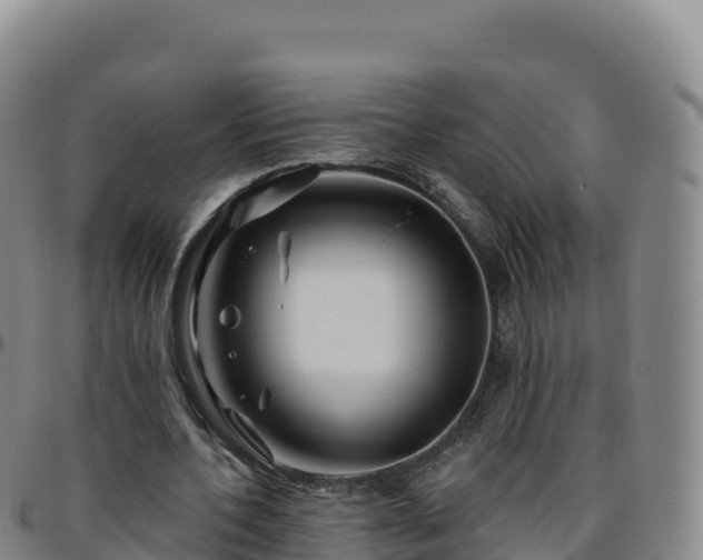 X0000096470532200801311536