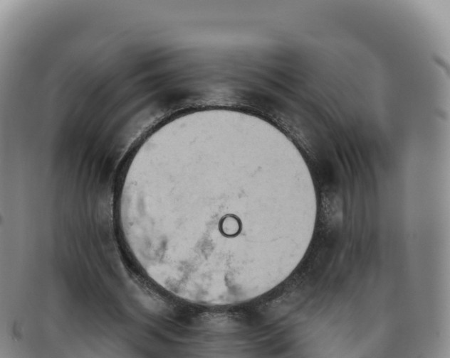 X0000096470534200801311536
