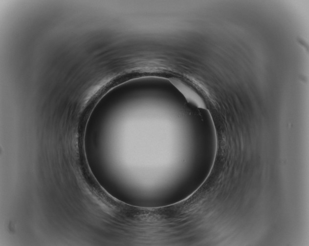 X0000096470535200801311536