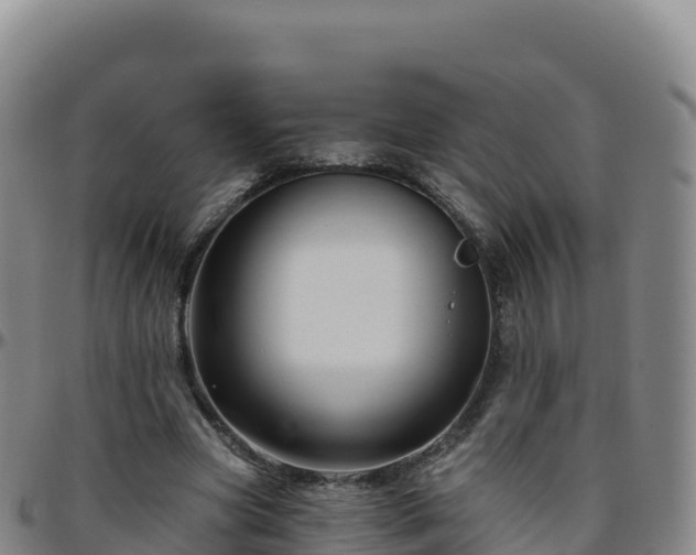 X0000096470537200801311536