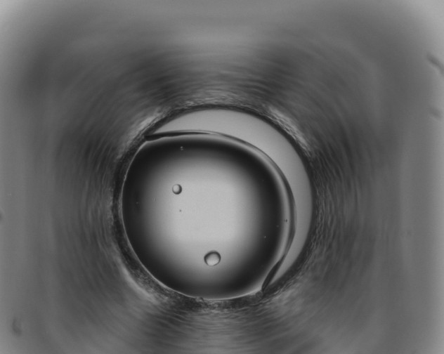 X0000096470538200801311536