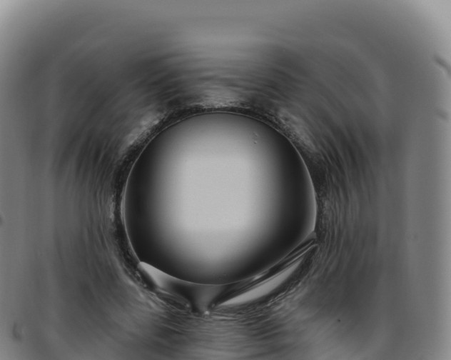 X0000096470539200801311536