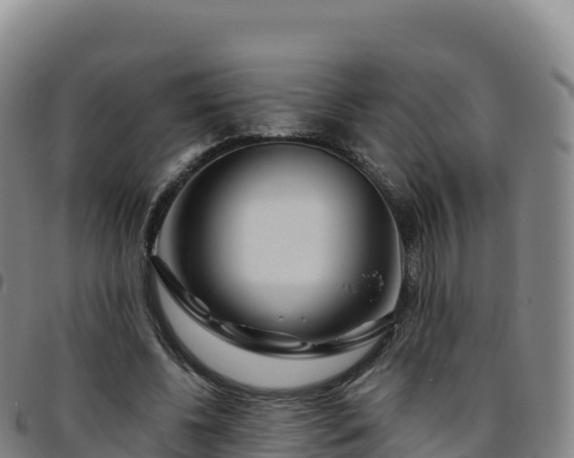 X0000096470540200801311536
