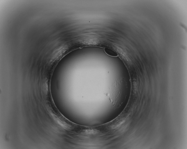 X0000096470541200801311536