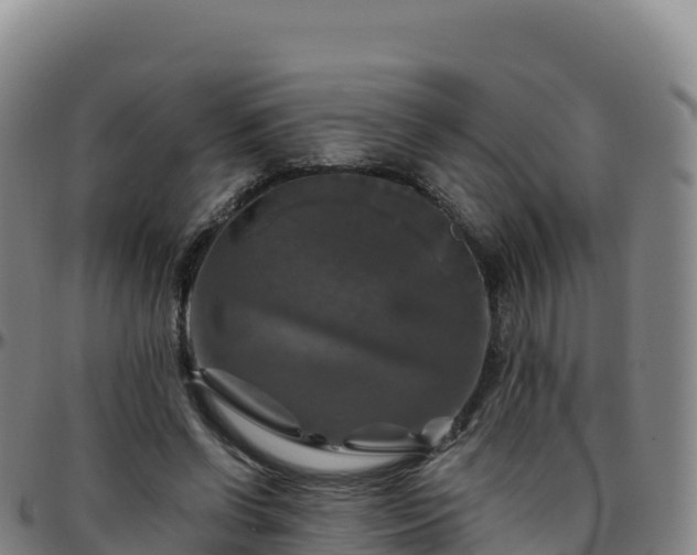 X0000096470542200801311536