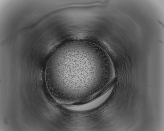 X0000096470543200801311536