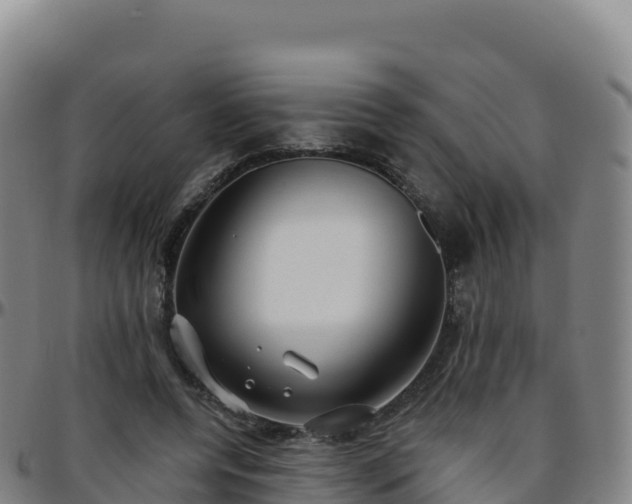 X0000096470544200801311536