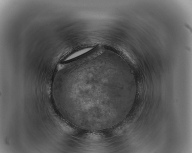 X0000096470545200801311536