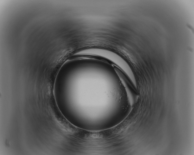 X0000096470546200801311536
