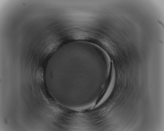X0000096470547200801311536