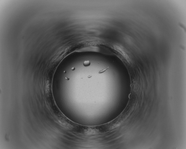 X0000096470549200801311536