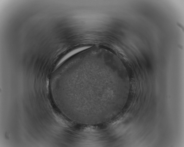 X0000096470550200801311536