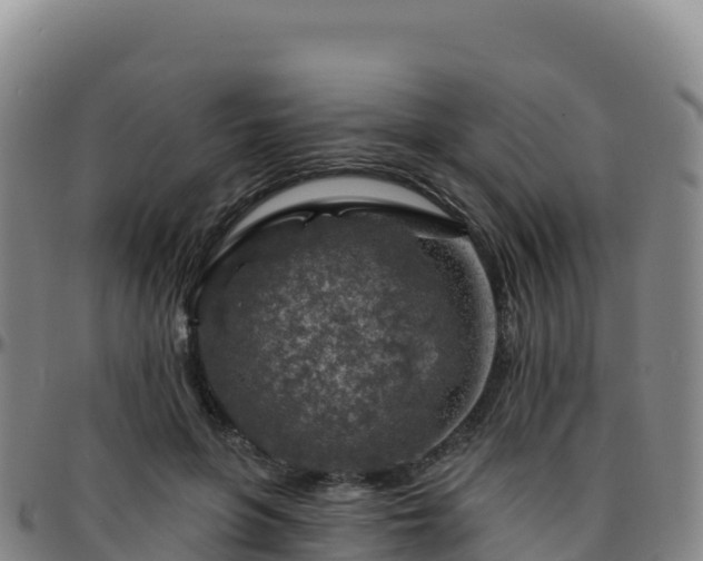 X0000096470551200801311536