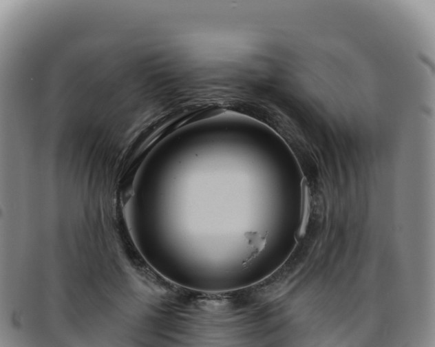 X0000096470552200801311536
