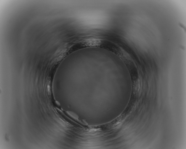 X0000096470553200801311536