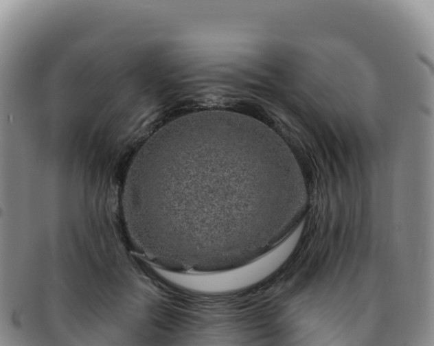 X0000096470554200801311536